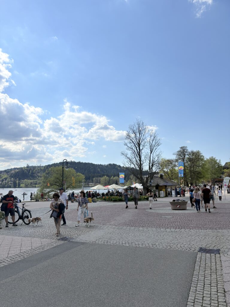 Titisee 蒂蒂湖風景