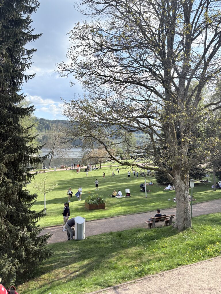 Titisee 蒂蒂湖風景