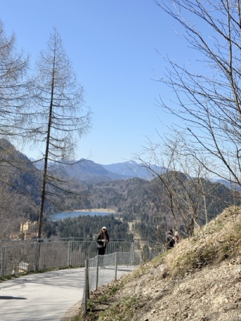 德國旅遊 德國 旅遊 歐洲旅遊 福爾根湖 Forggensee 新天鵝堡