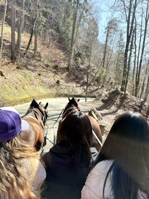 德國旅遊 新天鵝堡公車 新天鵝堡（Schloss Neuschwanstein）德國公車 德國黑森林 德國 馬車 德國馬車 新天鵝堡馬車