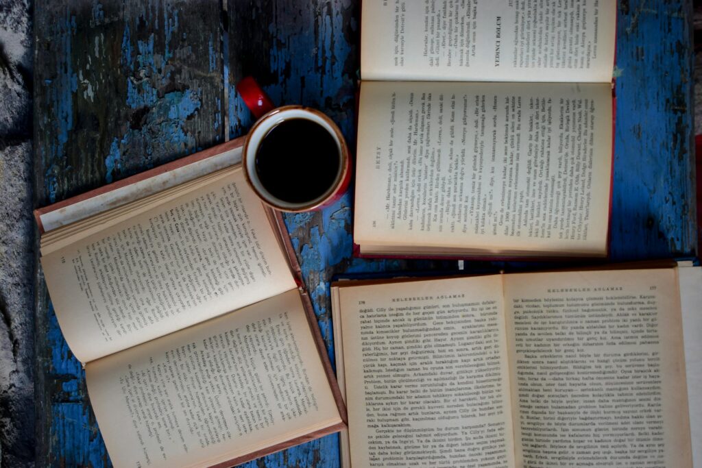 法文小說 法文 法文學習