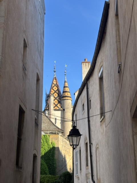 法國勃艮第景點|法國博訥主宮醫院 Hospices de Beaune——最後的審判收藏地 11 法國勃艮第區景點 博訥 Beaune 法國博訥主宮醫院