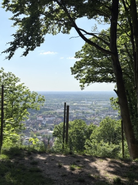 德國Karlsruhe卡魯生活|4個卡魯夏天消暑聖地 11 德國爬山 德國生活 Ettlingen 德國夏天 德國湖 德國 歐洲交換 Karlsruhe