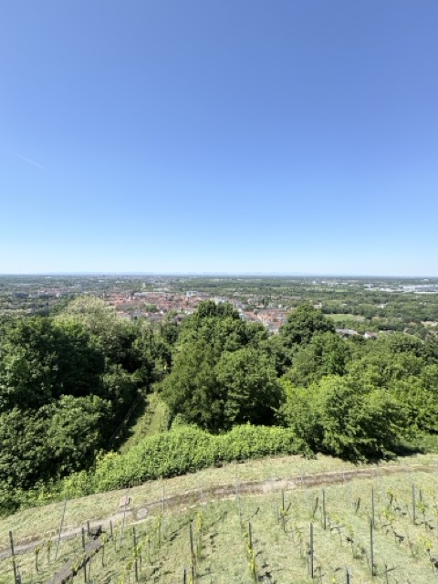 德國Karlsruhe卡魯生活|4個卡魯夏天消暑聖地 13 德國爬山 Durlach 德國生活 德國夏天 德國湖 德國 歐洲交換 Karlsruhe