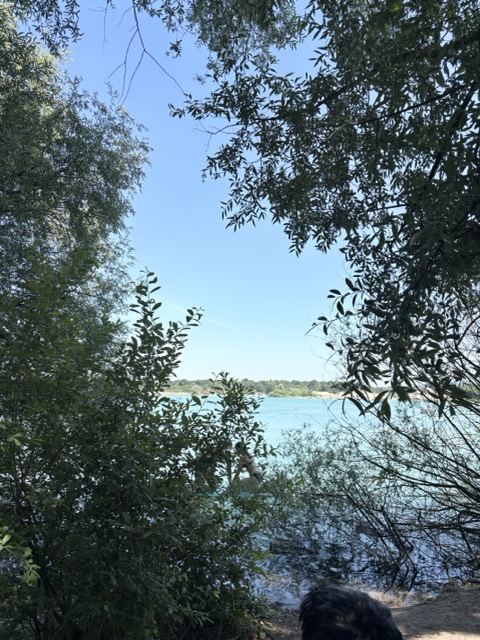 德國Karlsruhe卡魯生活|4個卡魯夏天消暑聖地 16 德國爬山 德國生活 德國夏天 德國湖 德國 歐洲交換 Karlsruhe