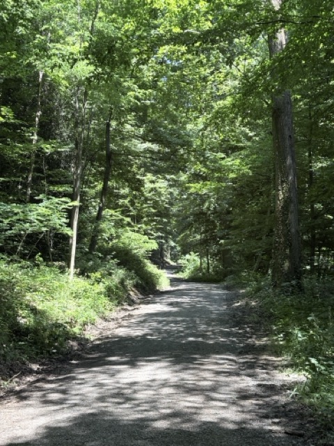 德國Karlsruhe卡魯生活|4個卡魯夏天消暑聖地 5 巴登-巴登 Baden-Baden 巴登-符騰堡邦 Baden-Württemberg 德國爬山 德國生活 德國夏天 德國湖 德國 歐洲交換 Karlsruhe