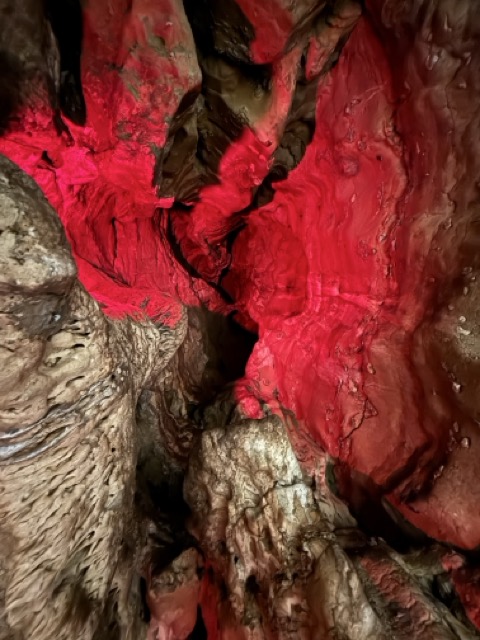 法國Les Grottes de La Balme 法國天然神秘洞穴 法國里昂附近景點
蝙蝠洞穴