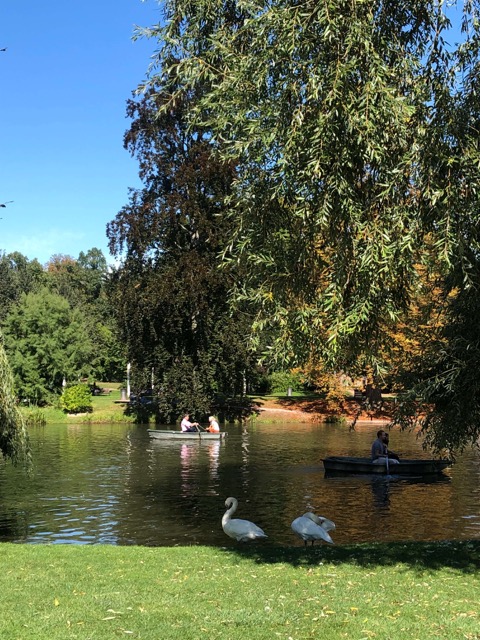 史特拉斯堡公園
柑橘園
法國strasbourg
法國斯特拉斯堡
史特拉斯堡景點