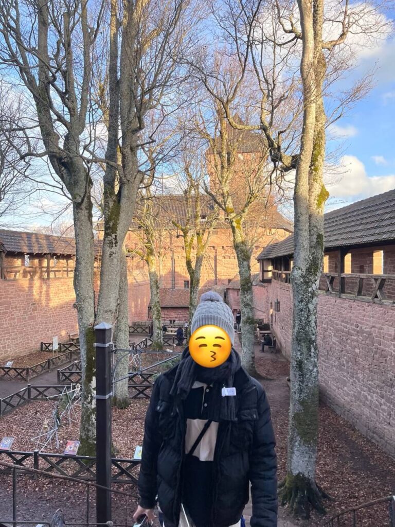 城堡空中花園
法國阿爾塞斯 alsace周邊景點 國王城堡 Château du Haut-Kœnigsbourg