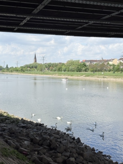 曼海姆Mannheim 斯派爾Speyer 德國一日遊 德國旅遊