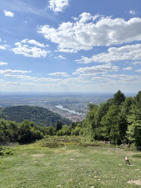 海德堡 德國旅遊 Heidelberg 海德堡一日遊 德國西部旅遊