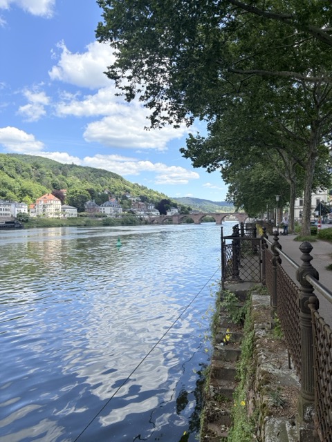 海德堡 德國旅遊 Heidelberg 海德堡一日遊 德國西部旅遊