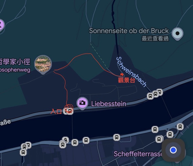 海德堡 德國旅遊 Heidelberg 海德堡一日遊 德國西部旅遊