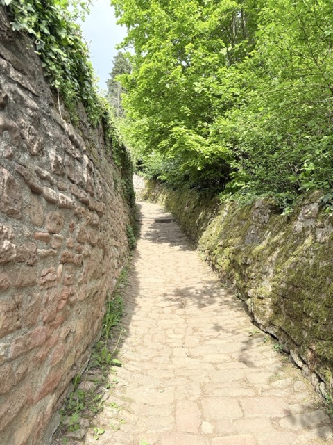 海德堡 德國旅遊 Heidelberg 海德堡一日遊 德國西部旅遊
