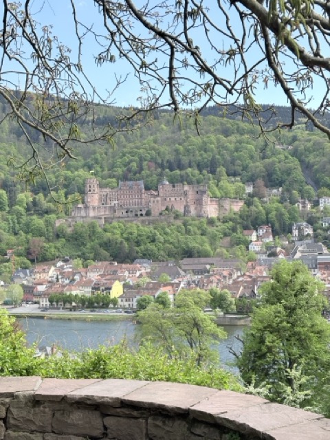 德國Heidelberg 海德堡自由行|景點、美食、海德堡城堡、老城區、交通、一日遊攻略 3 德國Heidelberg 海德堡 德國旅遊 Heidelberg 海德堡一日遊 德國西部旅遊