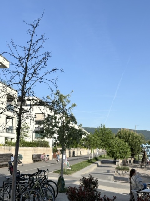 海德堡 德國旅遊 Heidelberg 海德堡一日遊 德國西部旅遊