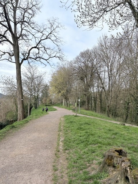 德國月票 德國旅遊 德鐵 法國旅遊 arcours sportif du Rempart Nord公園