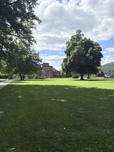 海德堡 德國旅遊 Heidelberg 海德堡一日遊 德國西部旅遊